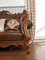European Classic Solid Wooden Carving Frame with Italy Leather Upholstery Sofa Set