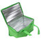 Non-woven Material and Food Use commercial cooler bag. size:25cm*20cm*20cm supplier