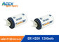 ER14250 with tabs, axis, 3.6V 1200mAh lithium thionyl chloride battery supplier