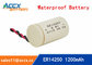 ER14250 with tabs, axis, 3.6V 1200mAh lithium thionyl chloride battery supplier