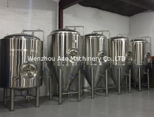 China 1000L Stainless Steel Fermentation Tank with Side Manway (ACE-FJG-V2) supplier