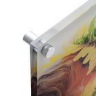 Concise clear acrylic photo frames /wall mounted plexiglass picture holder / decorative lucite block