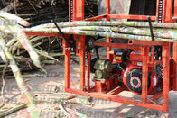 Farm Machinery for Sugarcane Farmer SL5 Sugarcane Lifting Machine/Mini Sugarcane Lifter