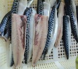 Frozen fish Seafood of Atlantic Mackerel Scomber Scombrus Fillets Made in China