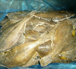 Wholesale Alaska waters frozen seafood frozen yellow fin sole fish for japanese sushi food good quality