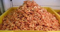 Wholesale seafood dried fresh water baby shrimp frozen dry shrimp from china