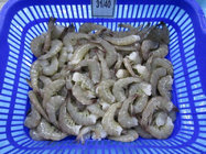 Frozen seafood Headless Vannamei Shrimps