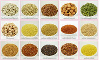 Wholesale Chinese light speckled kidney beans for good quality .LSKB /Light Speckled Kidney Beans /Pinto Beans/Sugar Bea