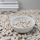 china food Peeled Broad Arabic White Alubia Beans