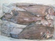 Frozen whole monkfish gutted fish with superior quality for seafood buyer
