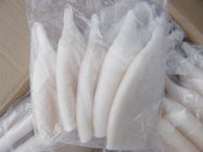 frozen squid tubes hot-selling seafood from china