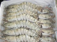 Frozen Shrimp/Seafood/ prawn Black tiger HLSO,HOSO, CPDTO,PDTO