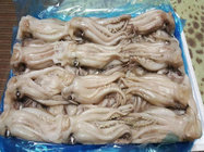 squid tentacle and wholesale frozen seafood fish