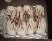 Frozen Half-Cut Blue Swimming Crabs seafood