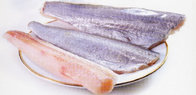 SEAFOOD  IQF frozen northern blue whiting