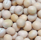 White Pigeon Peas Competitive Price / Best Quality Best Price