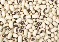 Chinese wholesale black eye bean/black eye kidney bean
