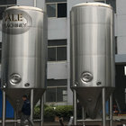 Beer Fermentation Tank, Craft Beer Equipment, Brewery Equipment 100HL