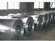 Anti finger print high quality 6000mm 12000mm length galvanized steel coil