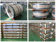 Cold Rolled Technique q195 hot dipped galvanized steel coil steel sheet plate