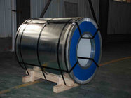 Prime price 1000mm 1200mm 1219mm width hot dipped galvanized steel coil per ton