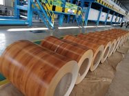 1200mm width PPGI coil Blue RAL9001 white pink Wood grain ppgi steel sheet
