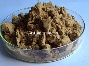 China Tribulus extract with 20% , 40% protodioscin supplier