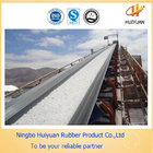 Chemical Resistant Conveyor Belt for Corrosive Materials (EP100-EP500)