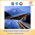 Ep315/3 Cold-Resistent Rubber Conveyor Belt for Cool Condition(-45degree)