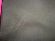 30d Polyester Interlining(Plain) Woven