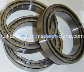 China SKF Full Complement Single Row Cylindrical Roller Bearing supplier
