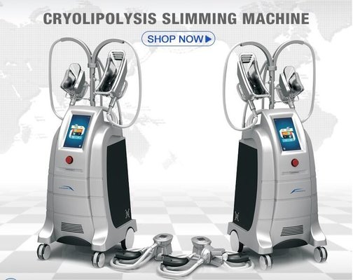 China Cryolipolysis slimming equipment Europe popular 4 handpieces cryomed cryolipolysis rf slimming machine supplier