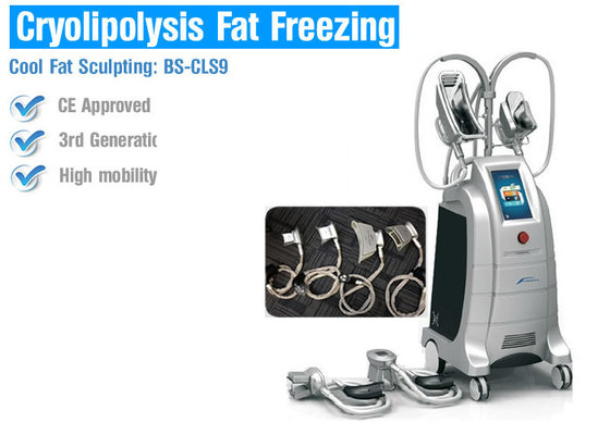 China Cryolipolysis slimming equipment cryolipolysis slimming machine cryotherapy fat freezing supplier