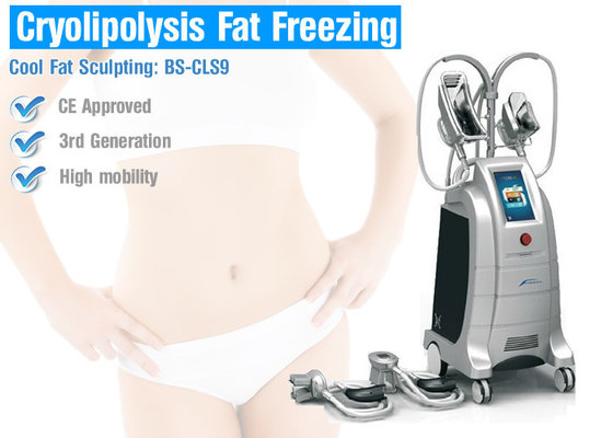 China Cryolipolysis slimming equipment cryolipolysis fat freeze slimming machine supplier