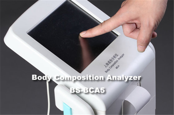 China Touch Screen Body Composition Analyzer For Body Fat / Nutrition Analysis With Printer supplier