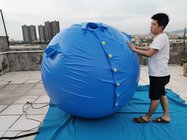 2023 hot sale Beile customize round PVC inflatable blueberry ball suit