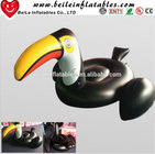 Hot sale PVC inflatable water float Largirostrornis inflatable toucan