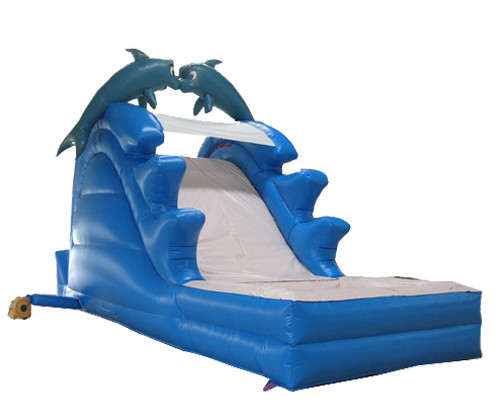 Giant Dolphin Inflatable slide
