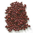 OEM Health Food Supplement Soft Capsule 500-1000mg  Product Model:500-1000mg/soft Capsule