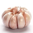New Crop Cheap Pure White Garlic For Wholesale