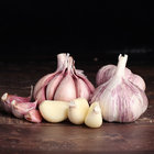 Fresh Purple Garlic From China