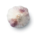 Big Garlic Purple Garlic With Cheap Price Made by China