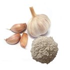 Bulk Garlic Wholesale