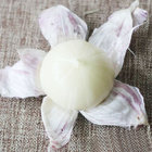 Wholesale Single Clove Garlic, Basket Packing Garlic, Low Price
