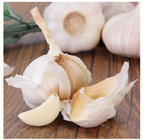 Hot Sale Peeled Garlic Wholesale Suppliers