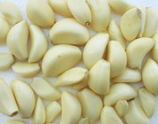 Good Quality Nitrogen Filled Fresh Peeled White Garlic Clove