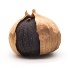 Black Garlic Extract,Aged Black Garlic Extracts,Black Garlic Supplement,Black Garlic Powder