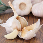 2019 China Fresh peeled Garlic on sale