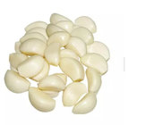 Peeled Vacuum Packed Garlic Cloves Peeled Garlic