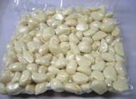 White pure fresh peeled garlic Large Quantity